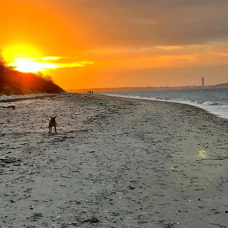 Nyaraló Treibholz *